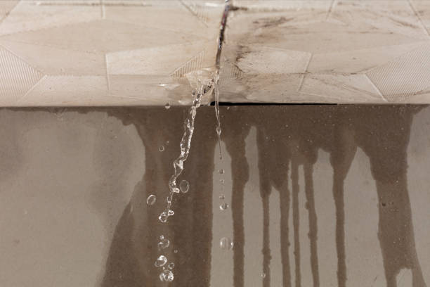 Professional Burst Pipe Cleanup technician working in Milaca, MN